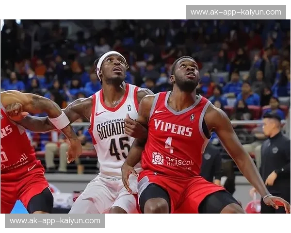 欧篮联社区：连接激情与归属的篮球世界