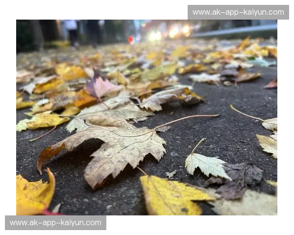 枫叶之争：多伦多与温哥华，哪座城市更让你心动？